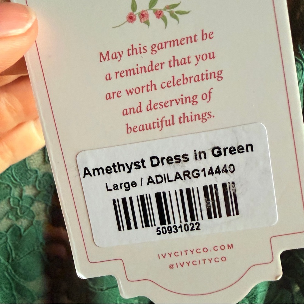 NWT Ivy City Co Emerald Lace Long Sleeve Dress - Picture 3 of 6